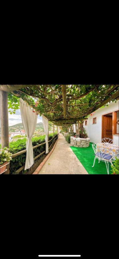 Guesthouse Coralba Casamicciola Terme Dış mekan fotoğraf