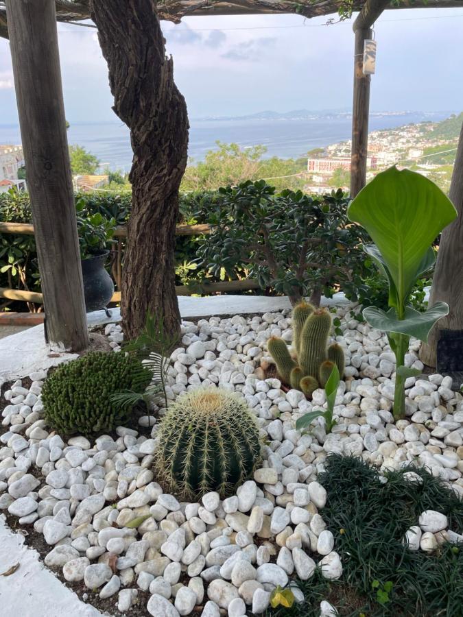 Guesthouse Coralba Casamicciola Terme Dış mekan fotoğraf