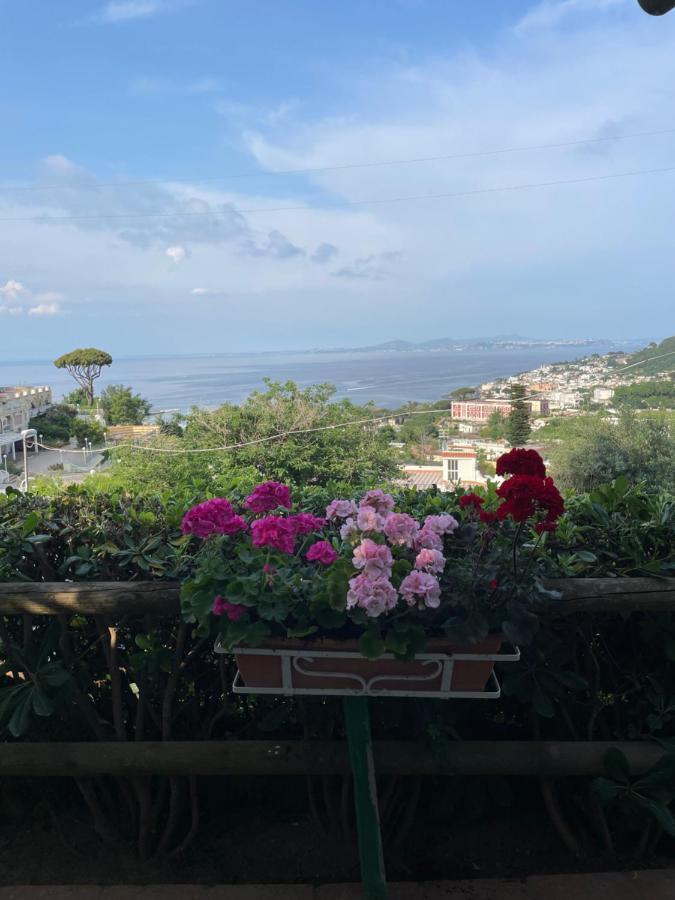 Guesthouse Coralba Casamicciola Terme Dış mekan fotoğraf