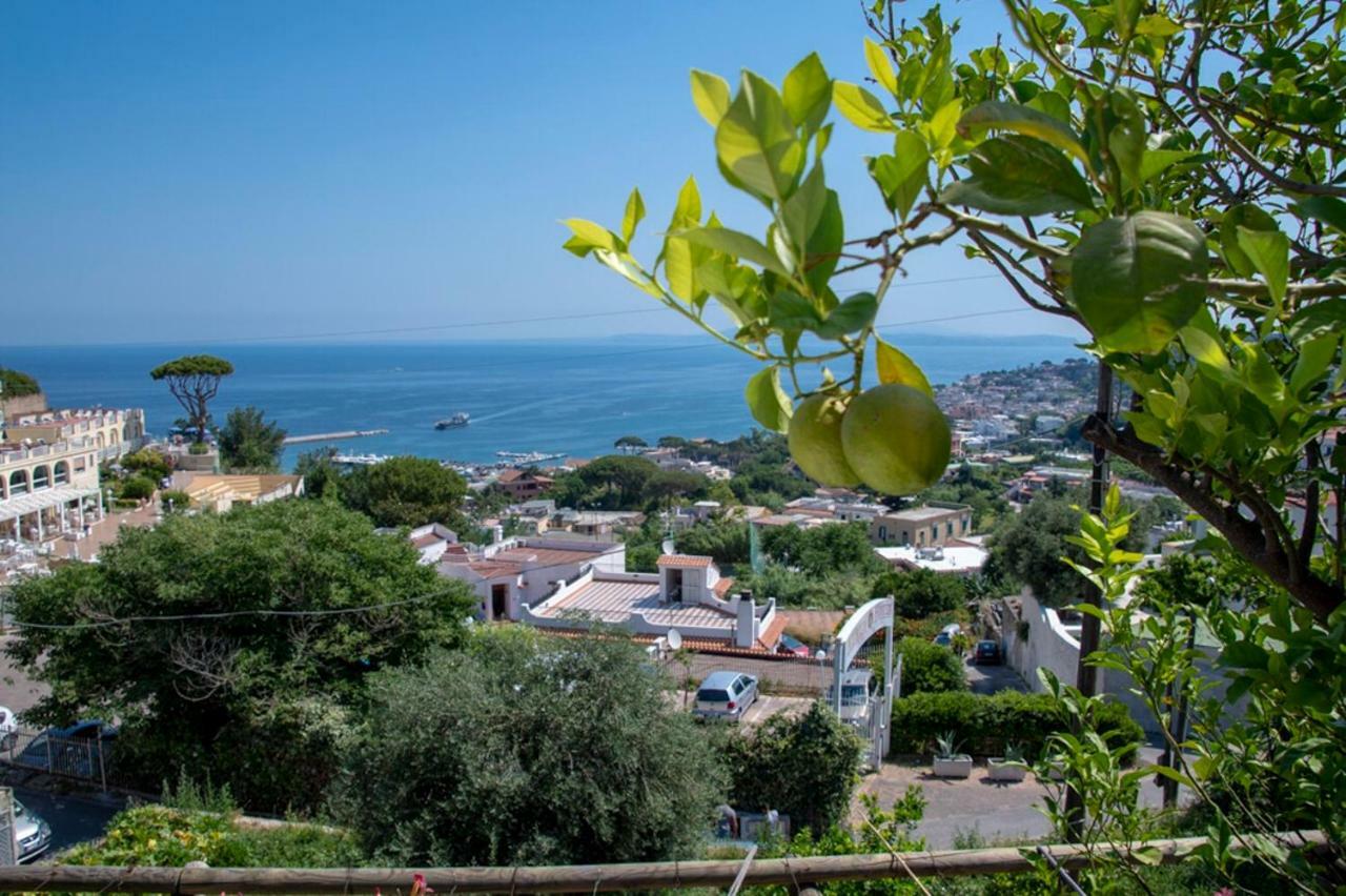 Guesthouse Coralba Casamicciola Terme Dış mekan fotoğraf