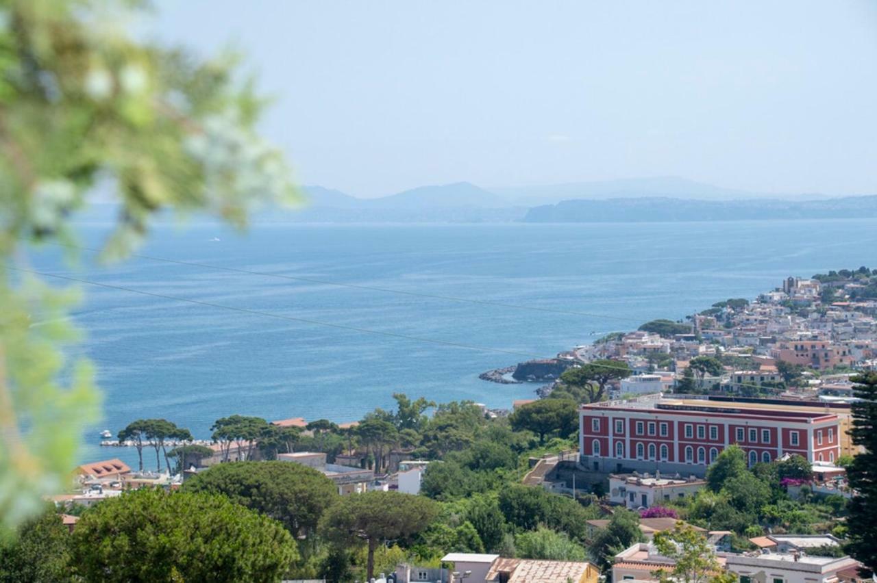 Guesthouse Coralba Casamicciola Terme Dış mekan fotoğraf
