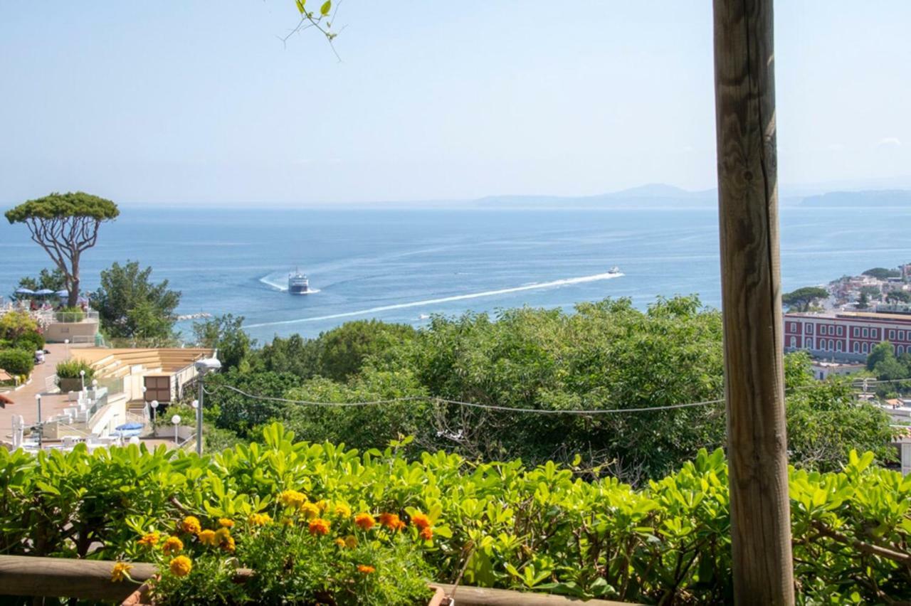 Guesthouse Coralba Casamicciola Terme Dış mekan fotoğraf